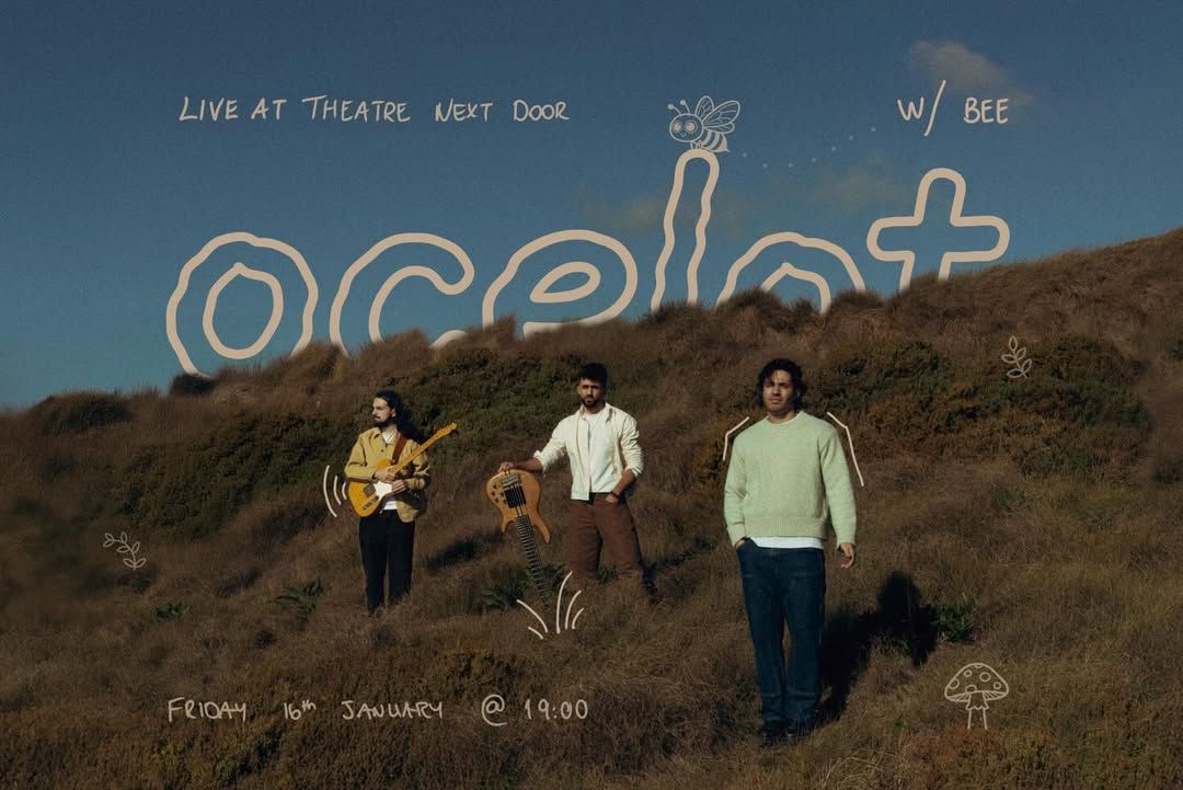 Ocelot ft. Bee - Live at Theatre Next Door